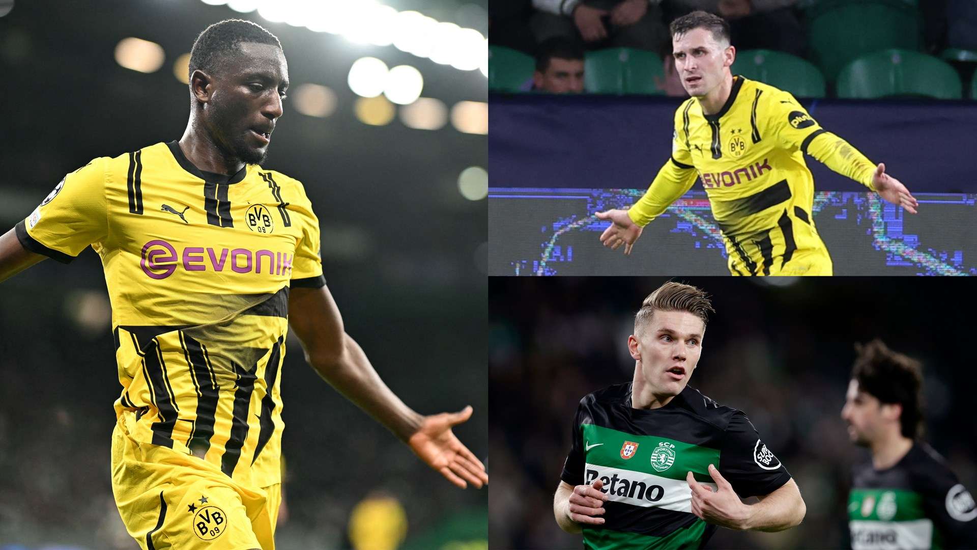 便引发了无 便引发了无